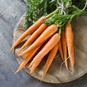 Seed - garden: Carrot Danvers