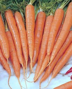 Seed - garden: Carrot Imperator