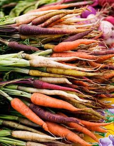 Carrot Rainbow Blend