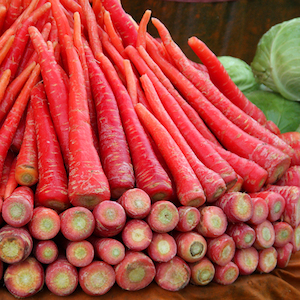 Seed - garden: Carrot Red