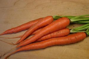 Seed - garden: Carrot Tendersweet ORGANIC