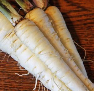 Seed - garden: Parsnip Harris Model