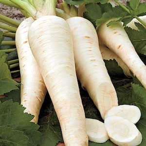 Parsnip Hollow Crown