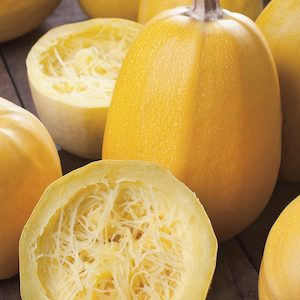 Seed - garden: Squash Vegetable Spaghetti