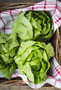 Seed - garden: Lettuce Buttercrunch