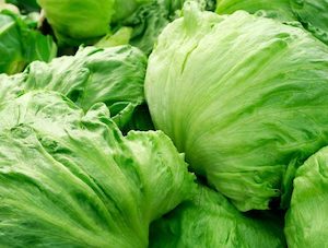 Lettuce Salinas