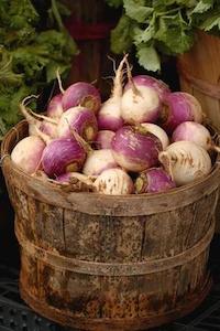 Turnip Purple Top White Globe ORGAINC