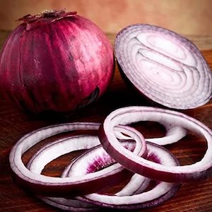 Onion Red Burgundy