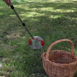 Walnut Harvester Sweeper