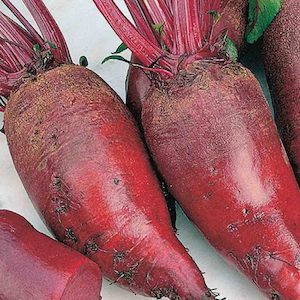 Beetroot Cylindra