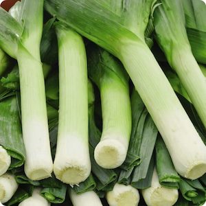 Leek Scotch Flag