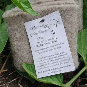 Natural Wool Fibre Pot 3pk- Seedling