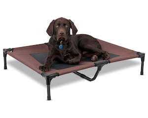 Beds-baskets: Dog Bed Trampoline