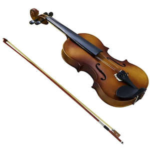 Full-size 4/4 Violin with Carrying Case Nature