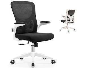 Desk Chairs: Desk Chair Office Chair