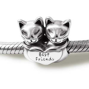 Cats Best Friends Charm