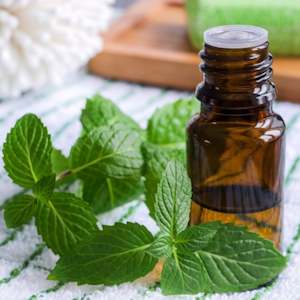 Spearmint Oil - Certified Food Grade