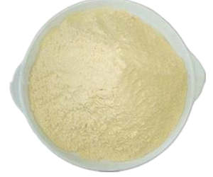 Cationic Guar Gum