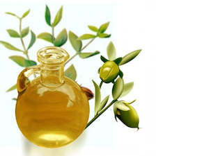 Jojoba Oil Organic