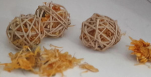 Calendula Vine Ball