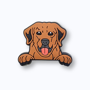 Clothing: Golden Retriever