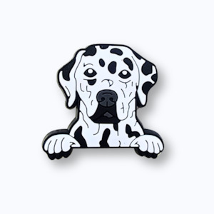 Dalmatian Charm