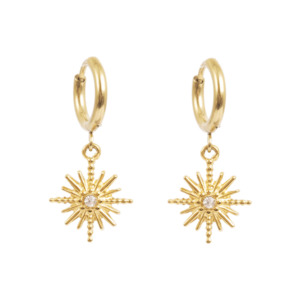 Pure Steel Charms Earrings  - Crystal Star Gold