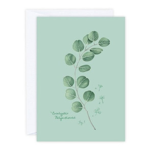 Eucalyptus Card