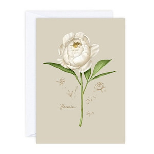 Peony Card