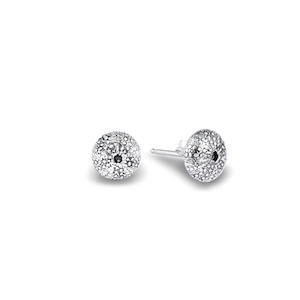 Homewares: Kina Shell Studs Silver