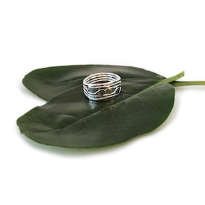 Homewares: Large Twig Ring Silver