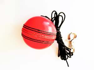 156gm PINK CRICKET BALL