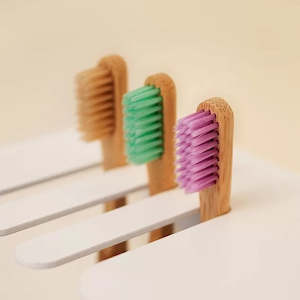 Non-store-based: SOLID ORAL | TOOTHBRUSHES