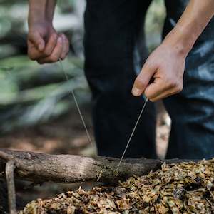 BAREBONES | WALNUT WIRE SAW