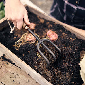 Barebones | Walnut Cultivator