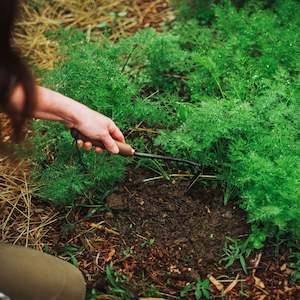 BAREBONES | JAPANESE WEEDING HOE