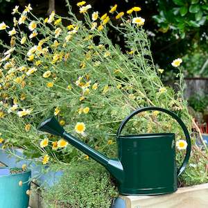 Burgon & Ball | Waterfall Watering Can 5l