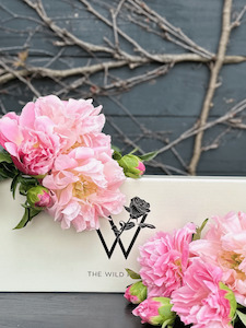 Fgb: Pretty Peonies