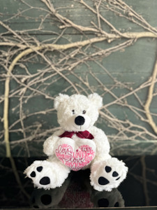 V Day: Dashing Dan Teddy