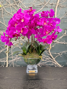 Cote Noire - Centrepiece Tall purple orchids