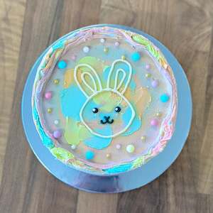 Doughnut: Pastel Bunny Cabinet Cake