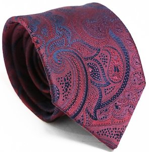 Fellini Luxe Paisley Tie