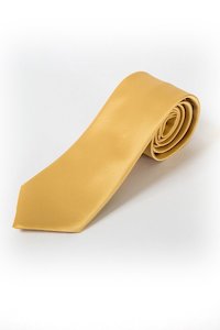 The Tie Company: 40 Sand Satin Tie