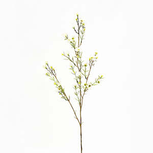 Household textile: Wax Flower Stem - White