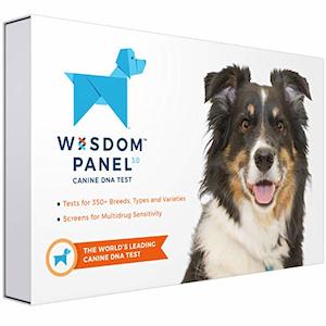 Internet only: Wisdom Panel 3.0 Canine DNA Test Kit - Find Your Dog's Breed and Ancestry Information