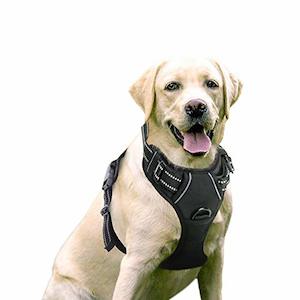 Rabbitgoo Dog Harness, No-Pull Pet Harness with (2 Leash Clips), Adjustable Soft…