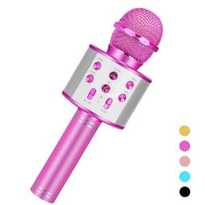 Karaoke Mic (Niskite Brand)