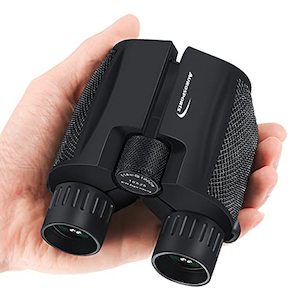 Aurosports 10x25 Binoculars for Adults and Kids (Folding Compact)