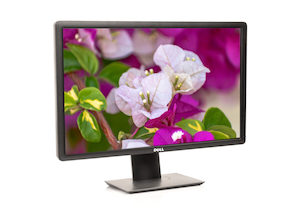 22″ Dell P2213t Monitor