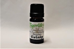 Catnip Essential Oil – Organic